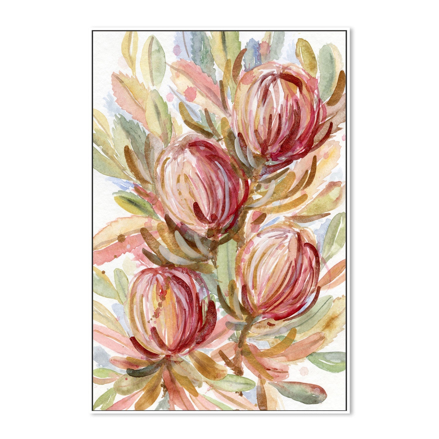 wall-art-print-canvas-poster-framed-Banksia Bunch , By Jessie Mitchelson-GIOIA-WALL-ART