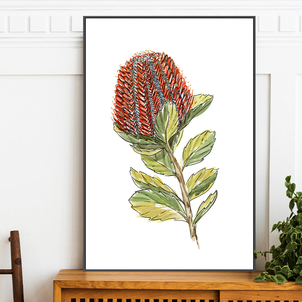 wall-art-print-canvas-poster-framed-Banksia Coccinea , By Jessie Mitchelson-GIOIA-WALL-ART