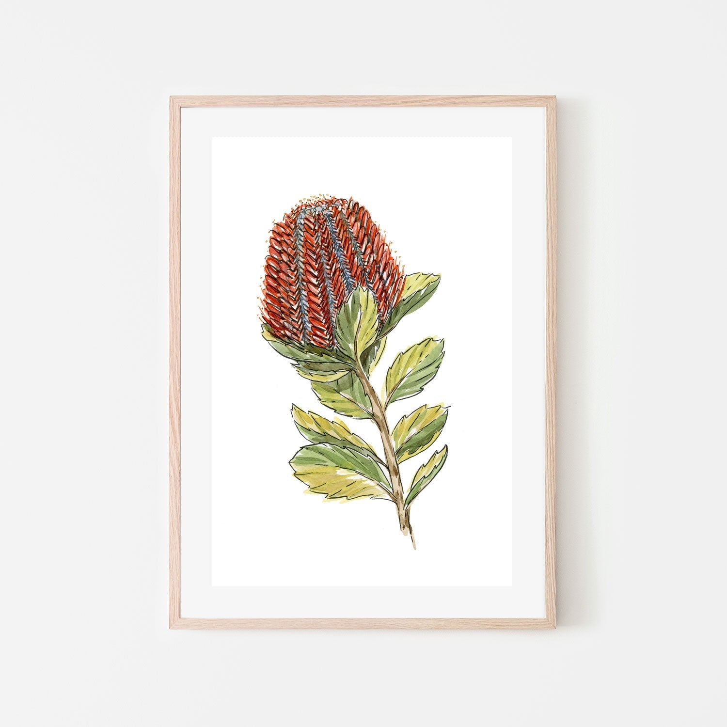 wall-art-print-canvas-poster-framed-Banksia Coccinea , By Jessie Mitchelson-GIOIA-WALL-ART