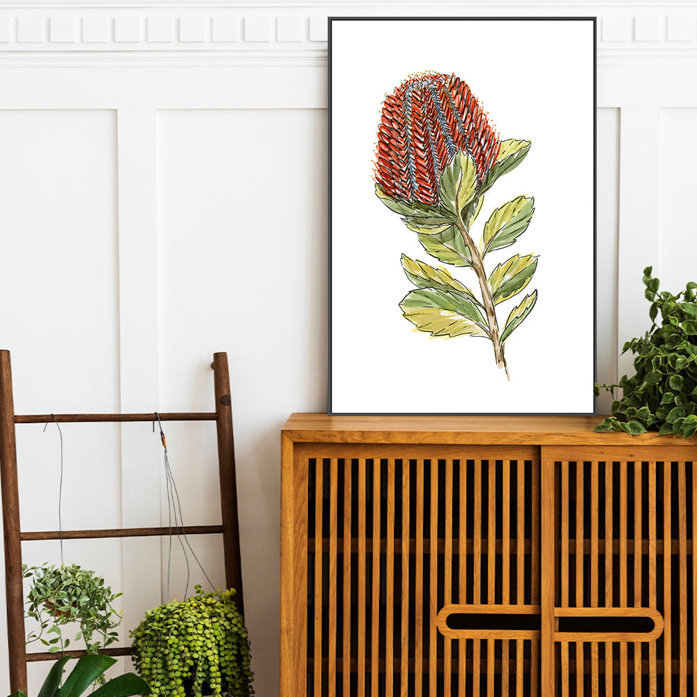 wall-art-print-canvas-poster-framed-Banksia Coccinea , By Jessie Mitchelson-GIOIA-WALL-ART