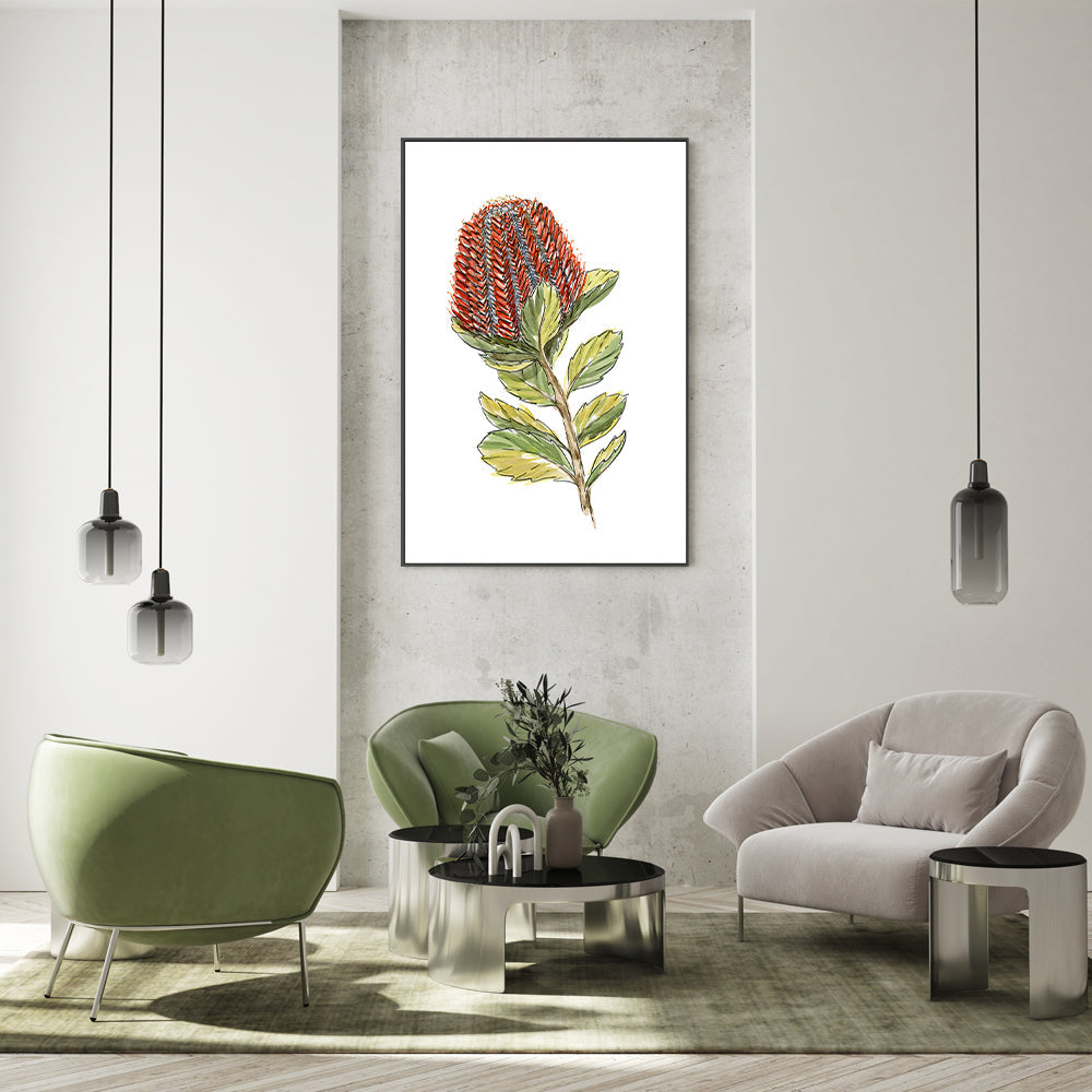 wall-art-print-canvas-poster-framed-Banksia Coccinea , By Jessie Mitchelson-GIOIA-WALL-ART