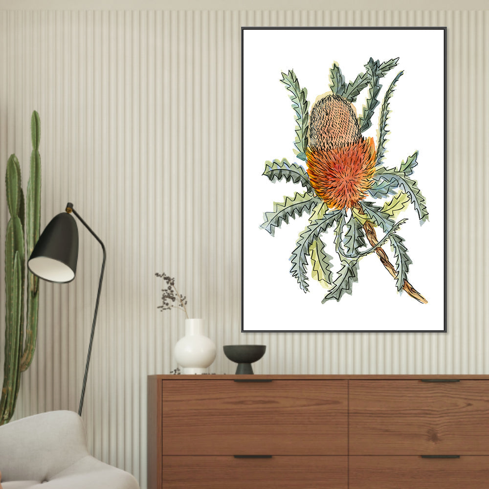 wall-art-print-canvas-poster-framed-Banksia Hookerina , By Jessie Mitchelson-GIOIA-WALL-ART