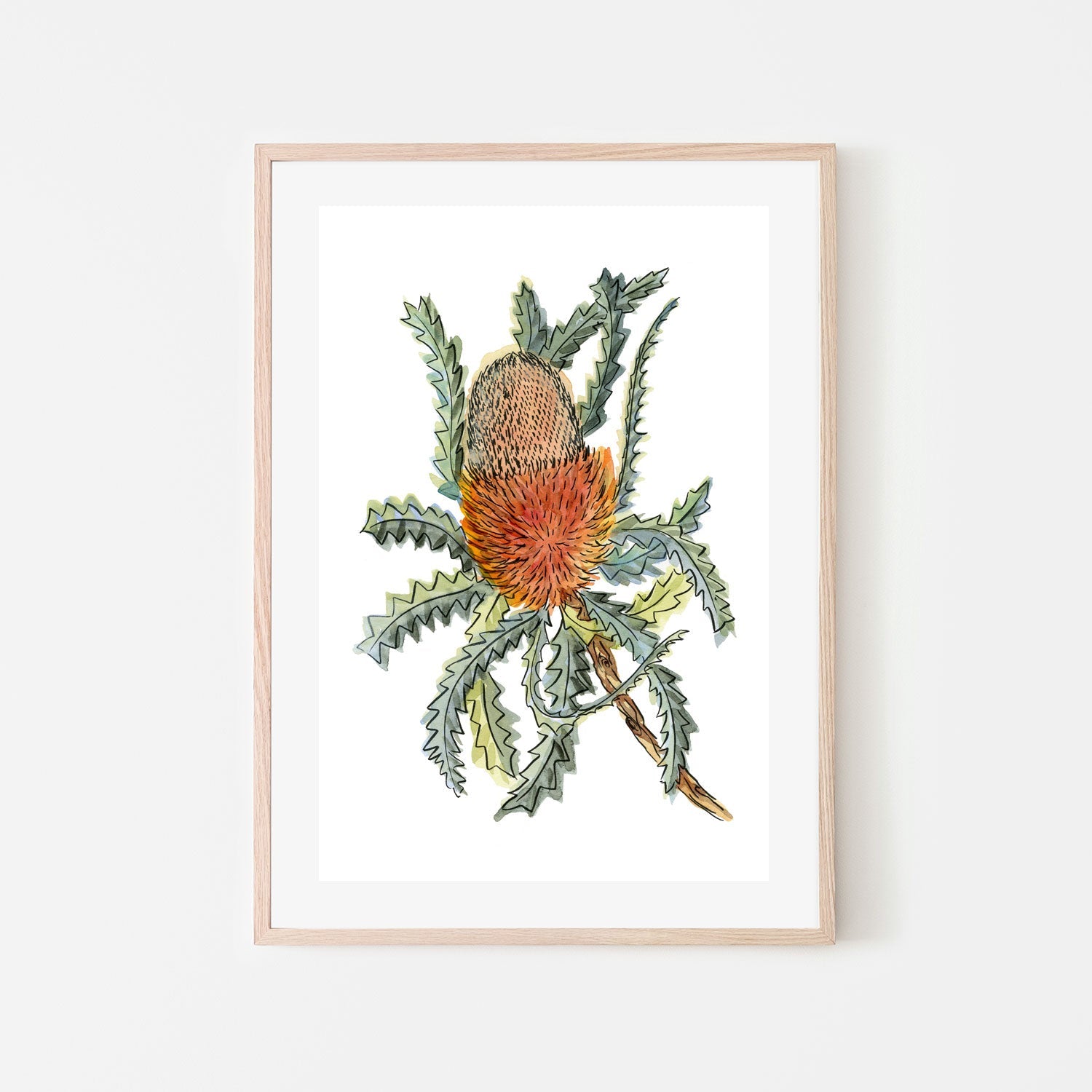 wall-art-print-canvas-poster-framed-Banksia Hookerina , By Jessie Mitchelson-GIOIA-WALL-ART