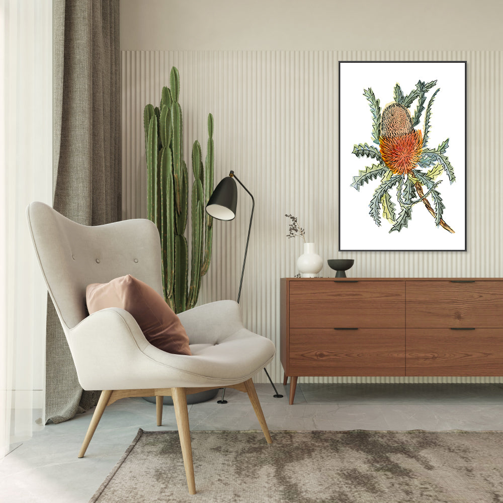 wall-art-print-canvas-poster-framed-Banksia Hookerina , By Jessie Mitchelson-GIOIA-WALL-ART