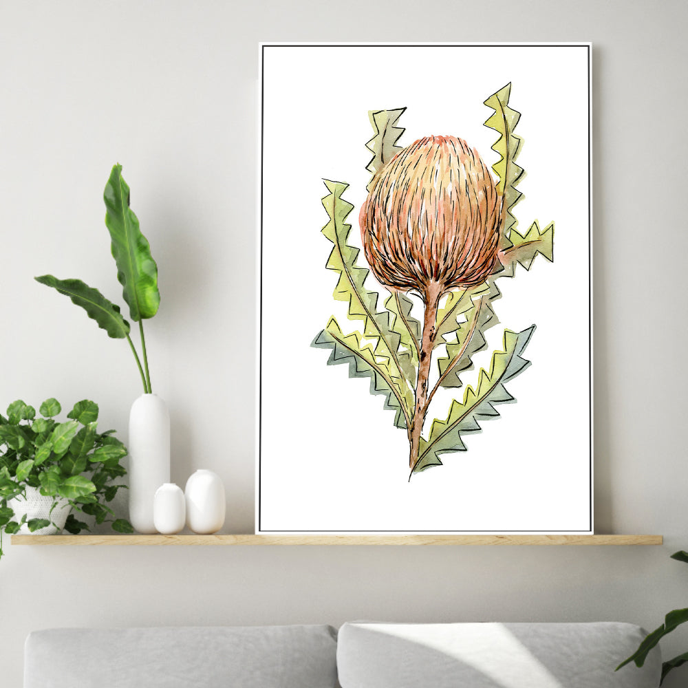 wall-art-print-canvas-poster-framed-Banksia Serrata , By Jessie Mitchelson-GIOIA-WALL-ART