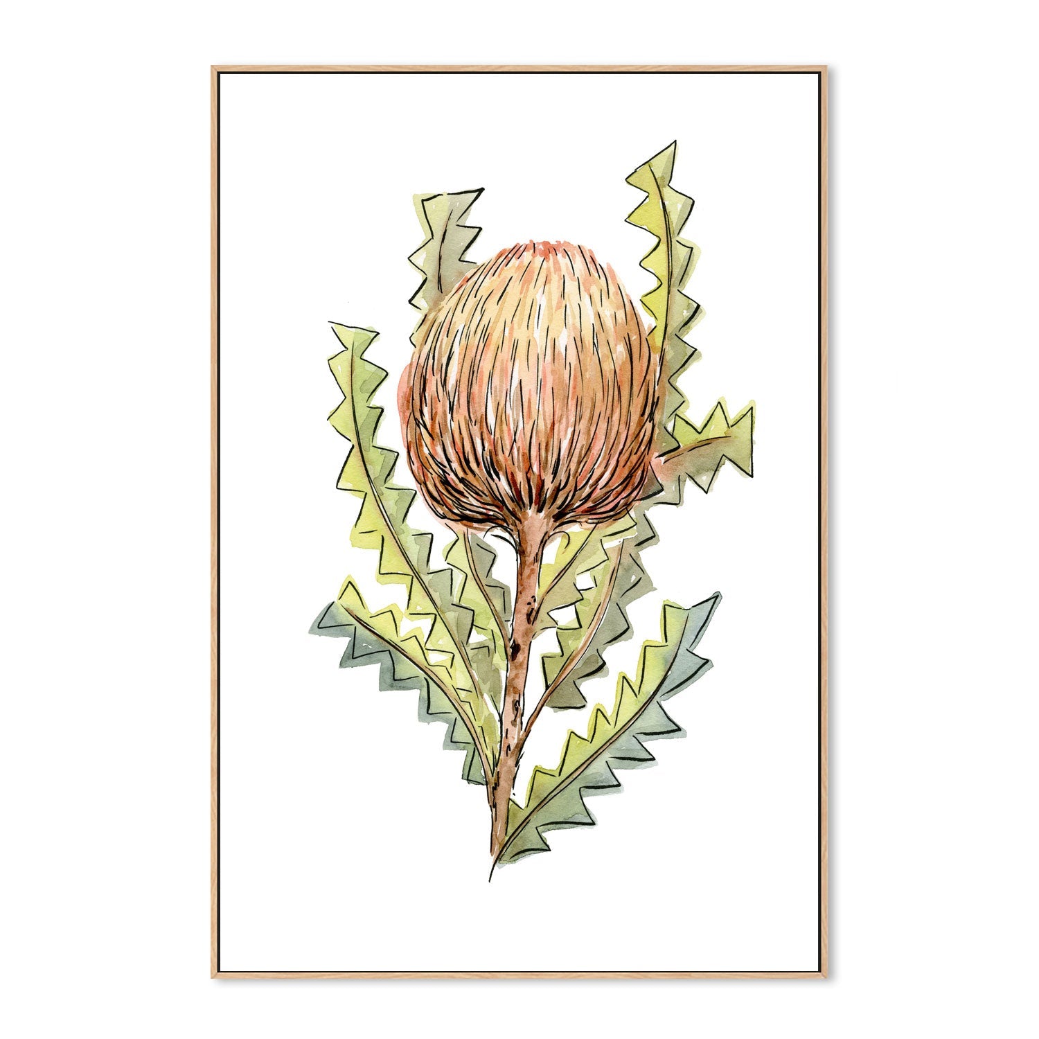 wall-art-print-canvas-poster-framed-Banksia Serrata , By Jessie Mitchelson-GIOIA-WALL-ART