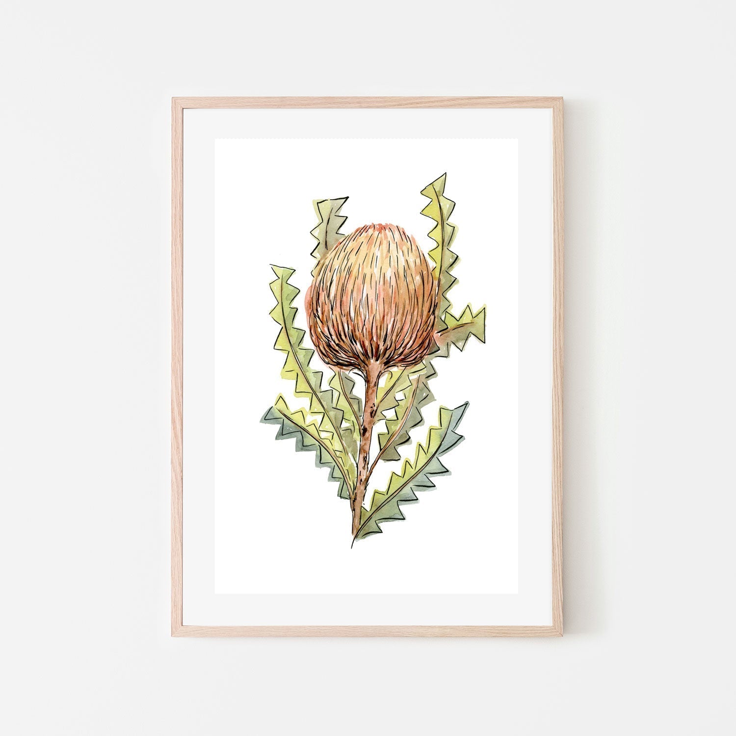 wall-art-print-canvas-poster-framed-Banksia Serrata , By Jessie Mitchelson-GIOIA-WALL-ART