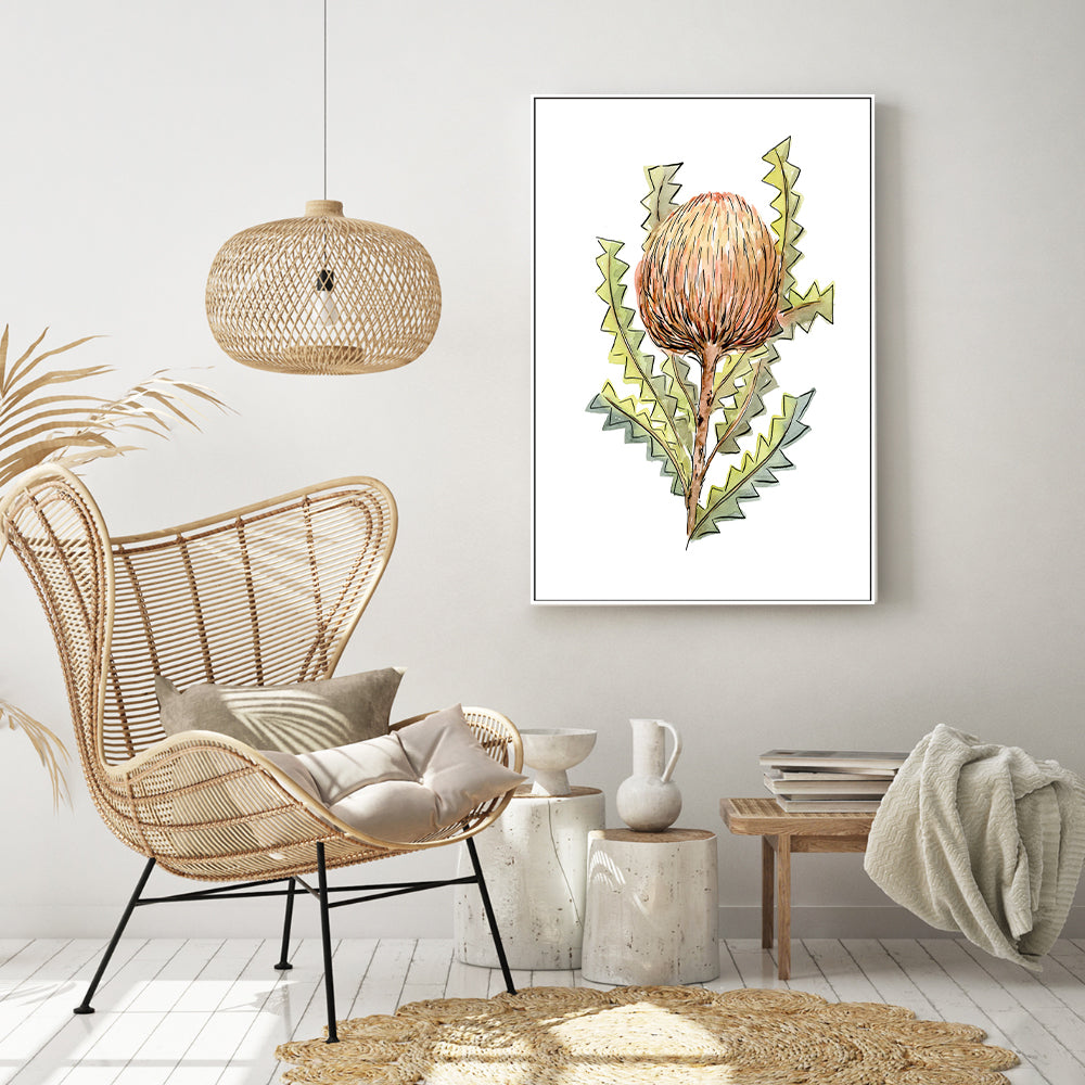 wall-art-print-canvas-poster-framed-Banksia Serrata , By Jessie Mitchelson-GIOIA-WALL-ART