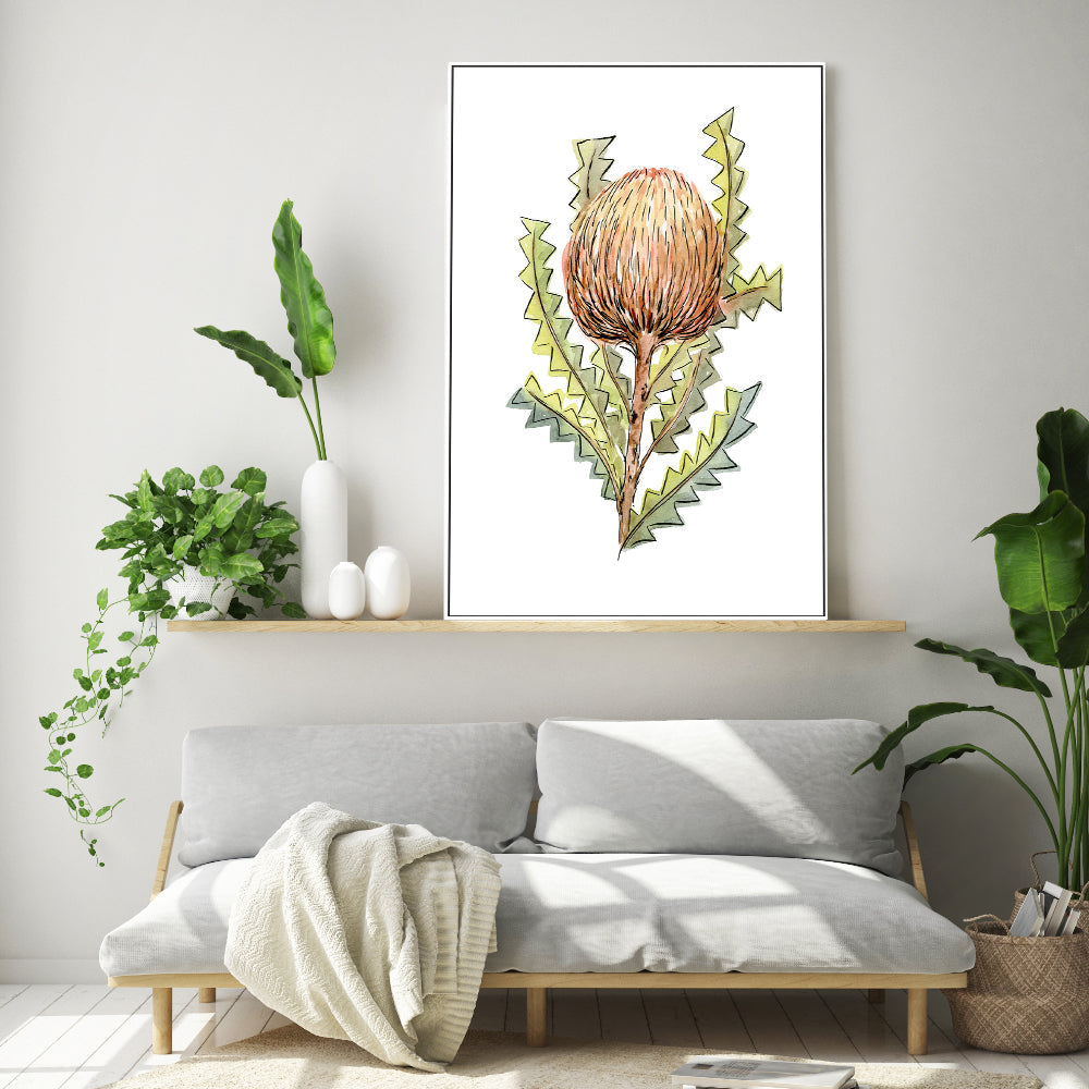 wall-art-print-canvas-poster-framed-Banksia Serrata , By Jessie Mitchelson-GIOIA-WALL-ART