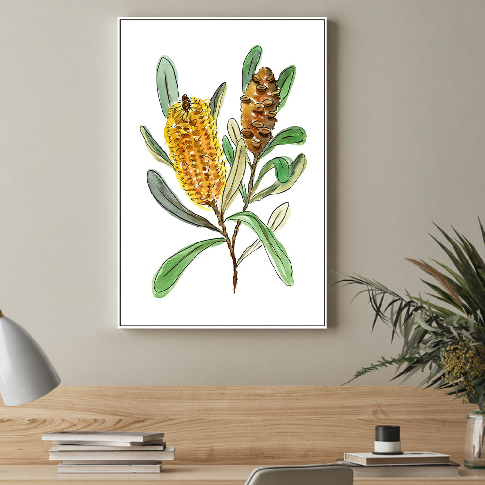 wall-art-print-canvas-poster-framed-Banksia Spinulosa , By Jessie Mitchelson-GIOIA-WALL-ART