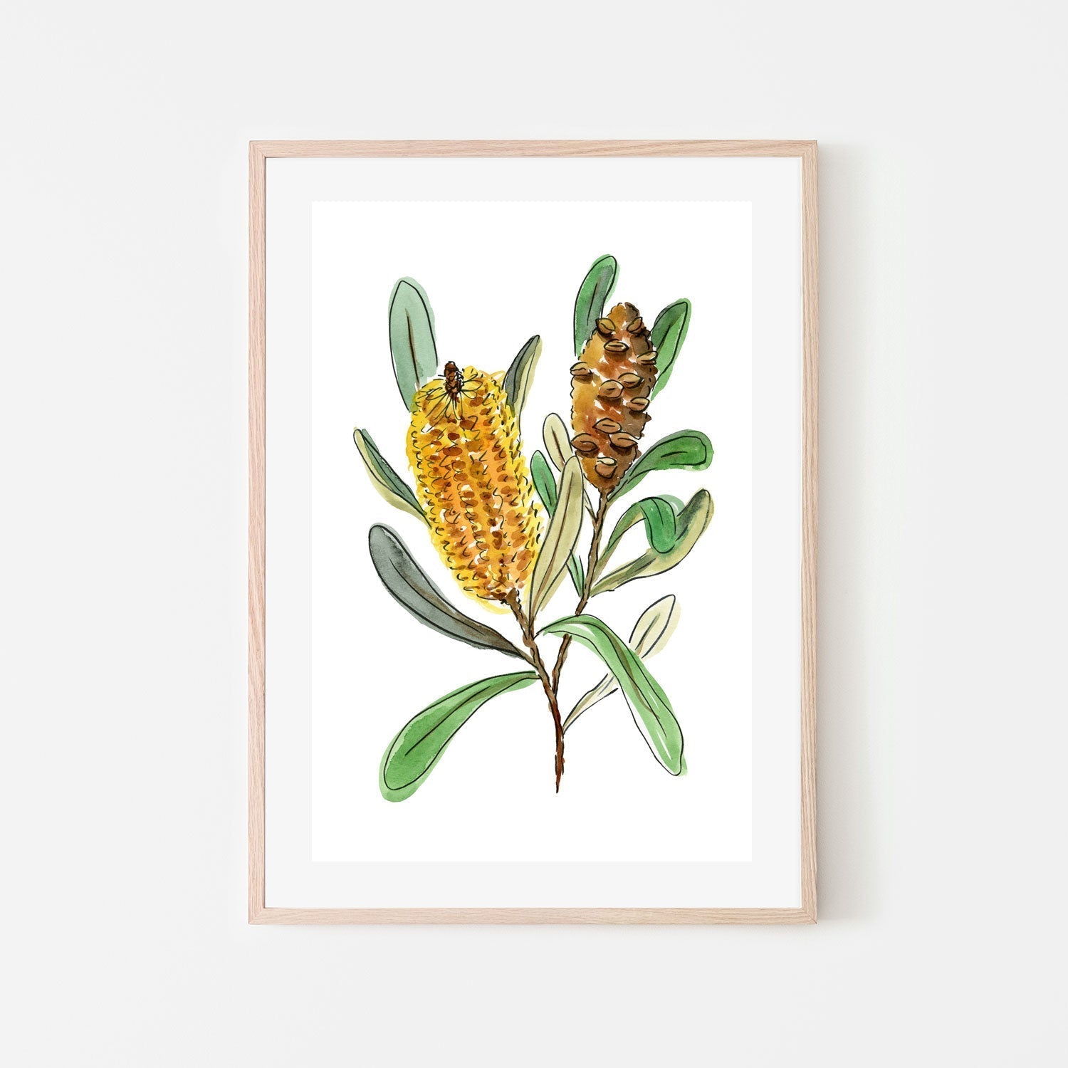 wall-art-print-canvas-poster-framed-Banksia Spinulosa , By Jessie Mitchelson-GIOIA-WALL-ART