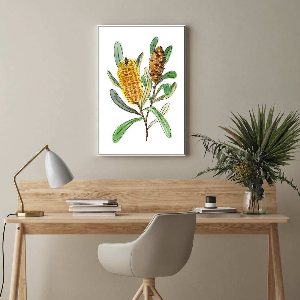 wall-art-print-canvas-poster-framed-Banksia Spinulosa , By Jessie Mitchelson-GIOIA-WALL-ART