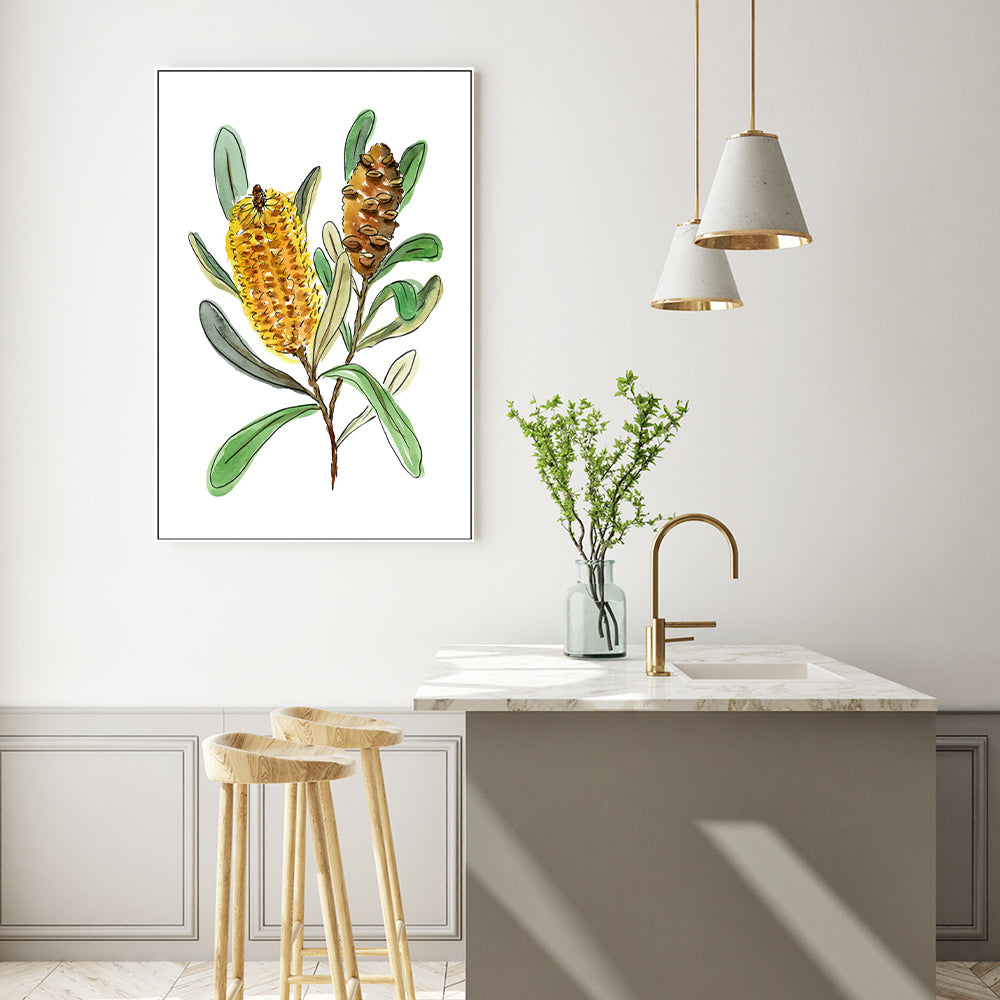 wall-art-print-canvas-poster-framed-Banksia Spinulosa , By Jessie Mitchelson-GIOIA-WALL-ART