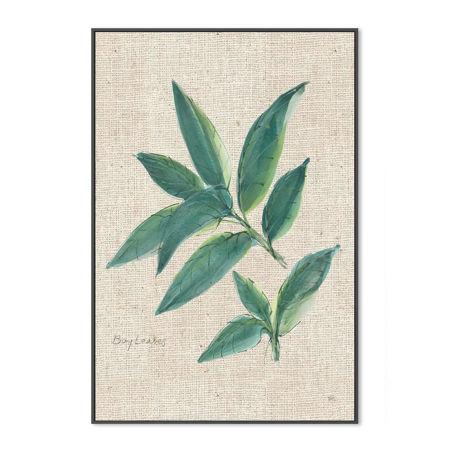 wall-art-print-canvas-poster-framed-Bay Leaf , By Chris Paschke-GIOIA-WALL-ART