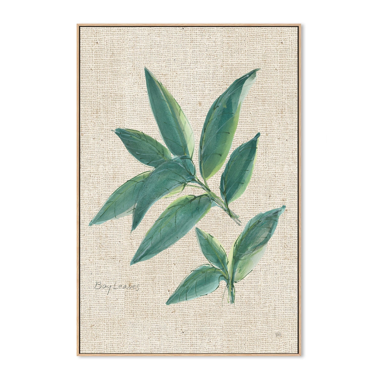 wall-art-print-canvas-poster-framed-Bay Leaf , By Chris Paschke-GIOIA-WALL-ART