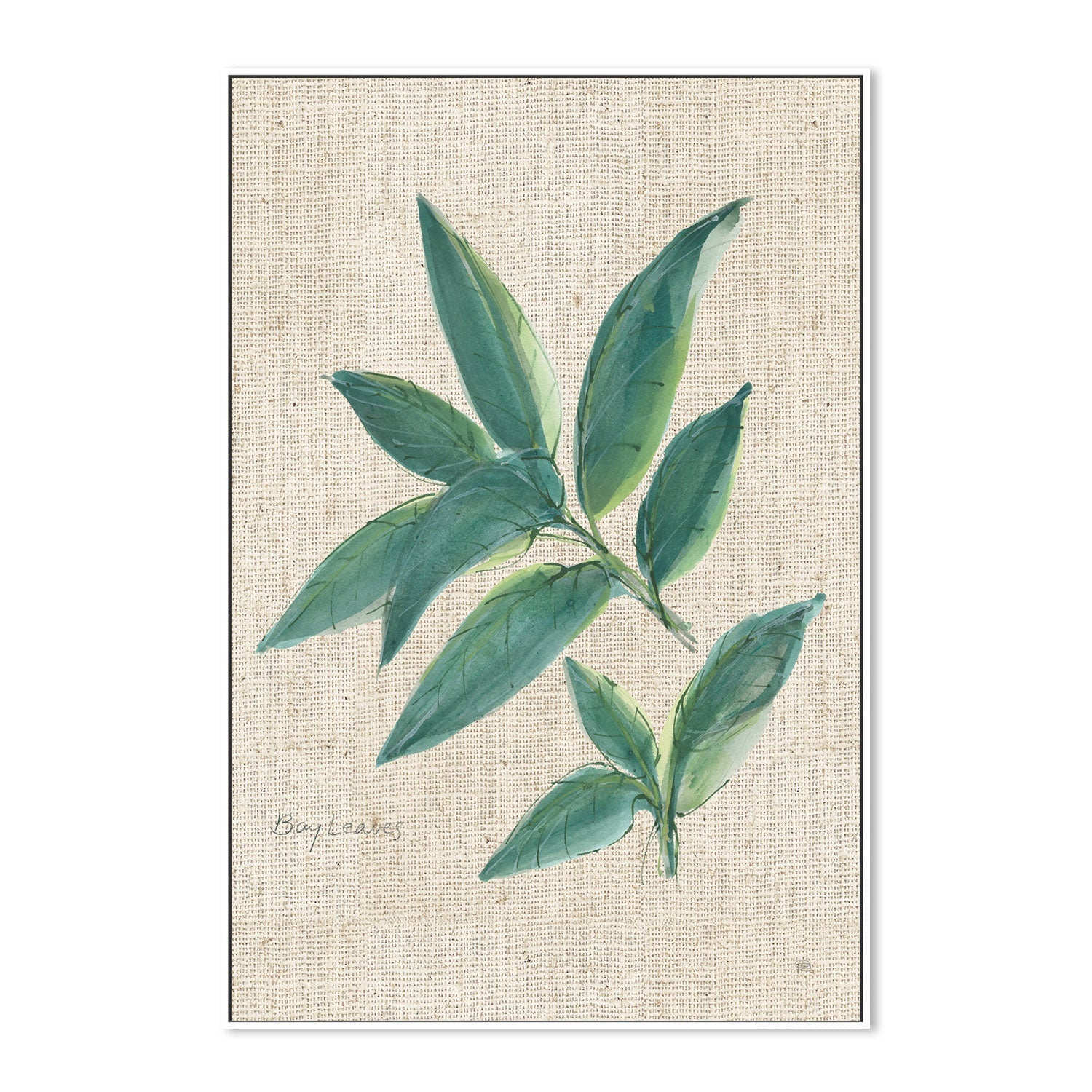 wall-art-print-canvas-poster-framed-Bay Leaf , By Chris Paschke-GIOIA-WALL-ART