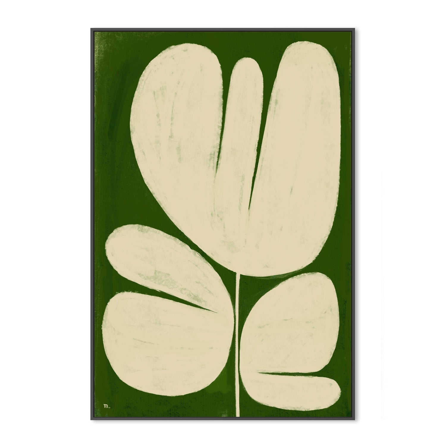 wall-art-print-canvas-poster-framed-Big White Flower On Green , By Marco Marella-3