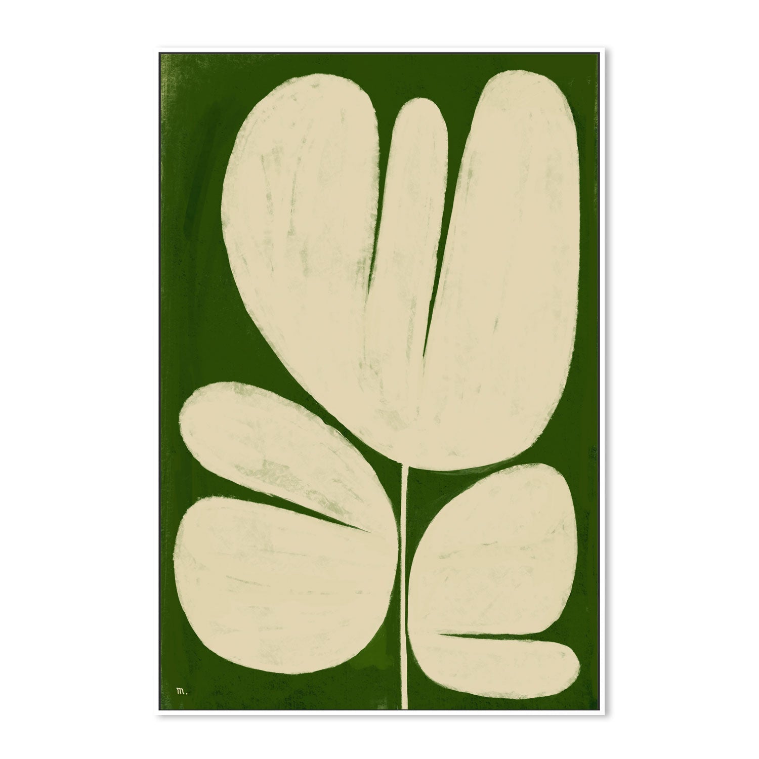 wall-art-print-canvas-poster-framed-Big White Flower On Green , By Marco Marella-5