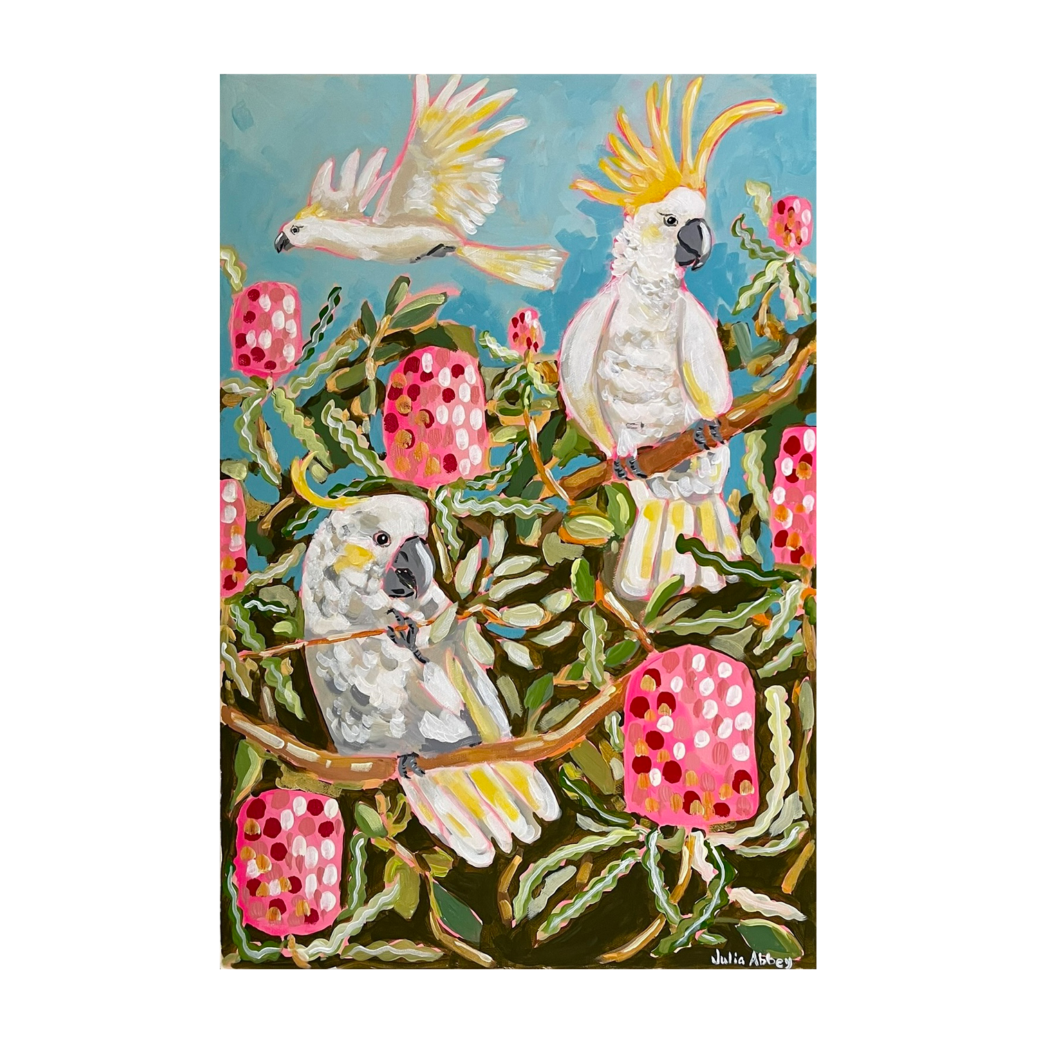 wall-art-print-canvas-poster-framed-Birds And Banksias , By Julia Abbey-1