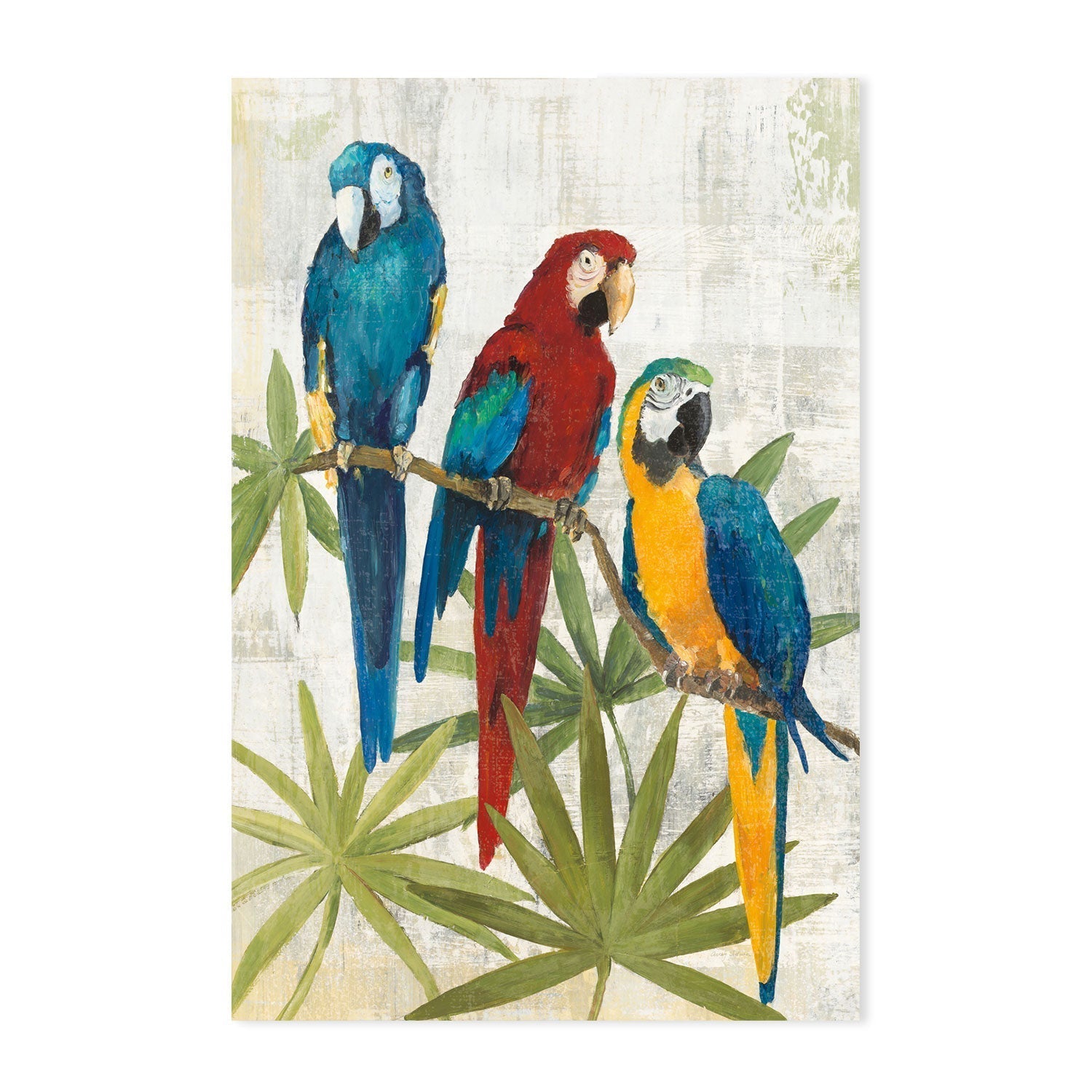 wall-art-print-canvas-poster-framed-Birds, Set Of 2 , By Avery Tilmon-GIOIA-WALL-ART