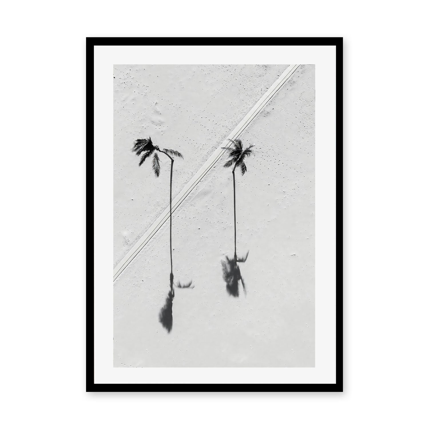 wall-art-print-canvas-poster-framed-Black Palm , By Max Lissendon-GIOIA-WALL-ART