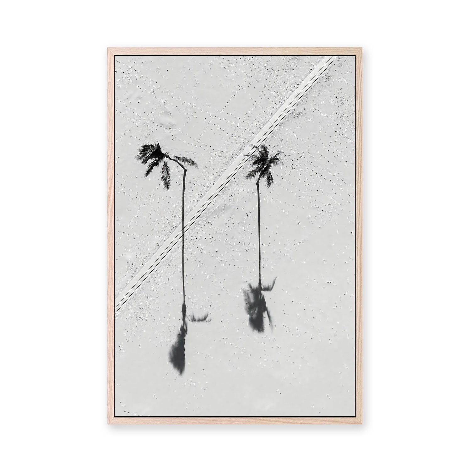 wall-art-print-canvas-poster-framed-Black Palm , By Max Lissendon-GIOIA-WALL-ART