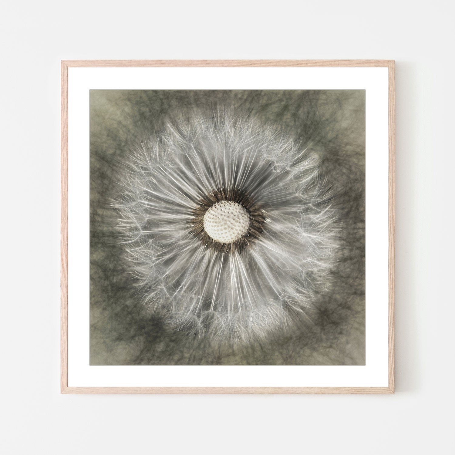 wall-art-print-canvas-poster-framed-Blossoming Dandelion , By Gilbert Claes-GIOIA-WALL-ART