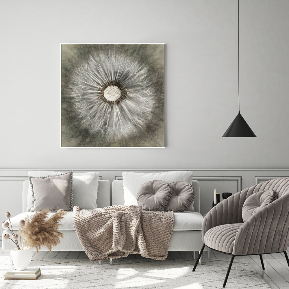 wall-art-print-canvas-poster-framed-Blossoming Dandelion , By Gilbert Claes-GIOIA-WALL-ART