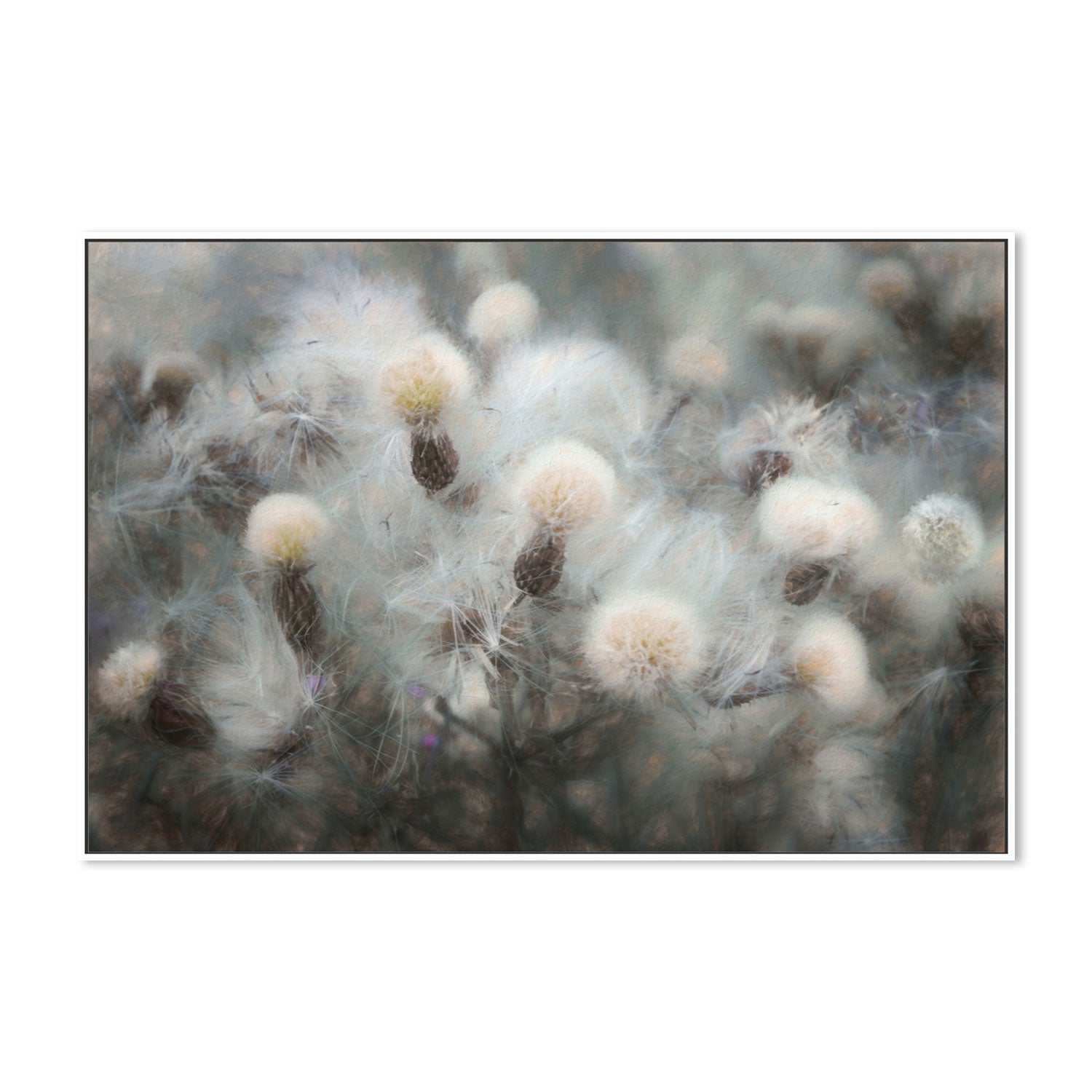 wall-art-print-canvas-poster-framed-Blossoming Plants , By Gilbert Claes-GIOIA-WALL-ART