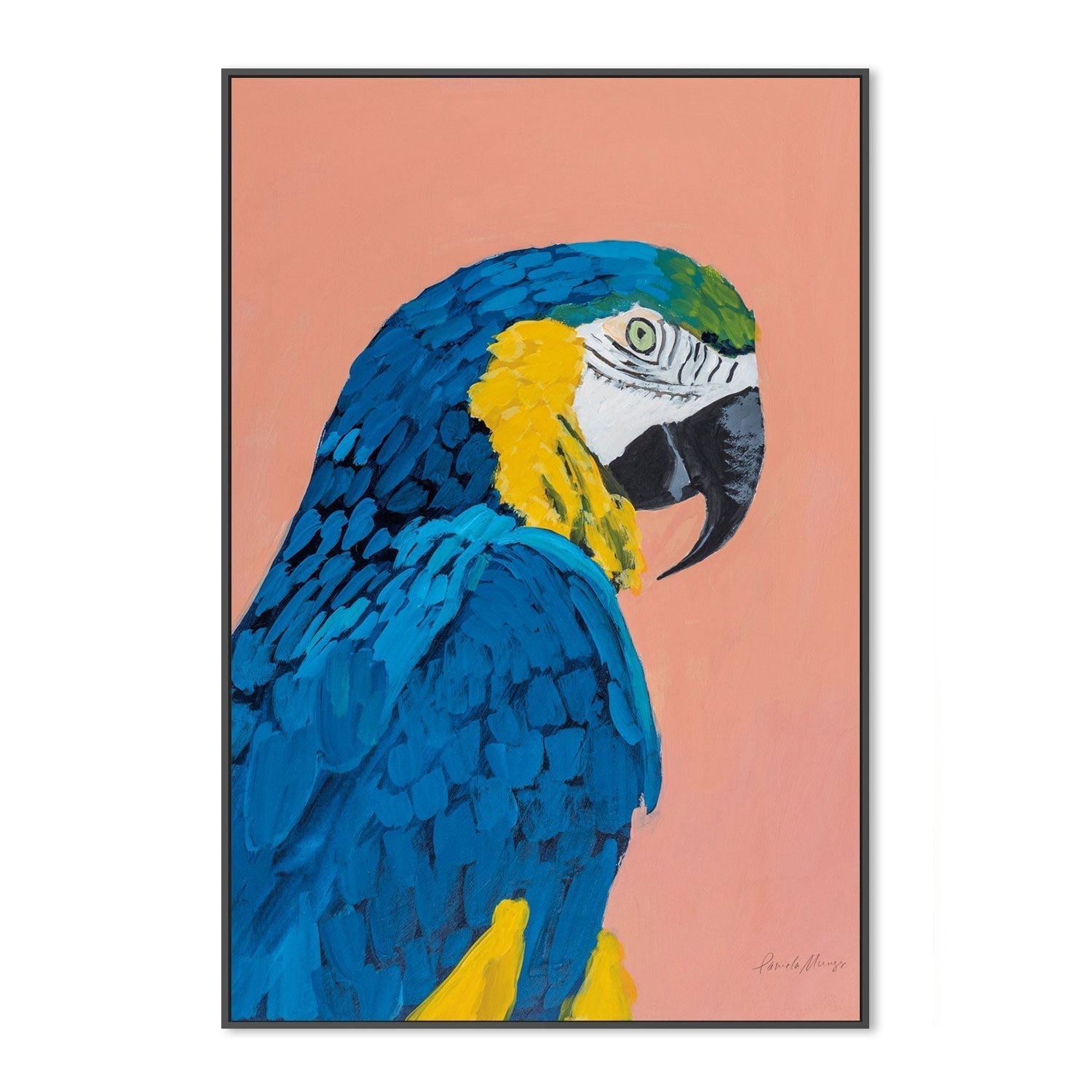 wall-art-print-canvas-poster-framed-Blue and Gold Macaw-by-Pamela Munger-Gioia Wall Art