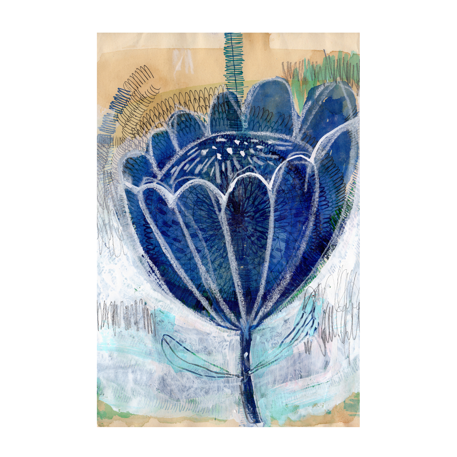 wall-art-print-canvas-poster-framed-Blue Tulip , By Paula Mills-1