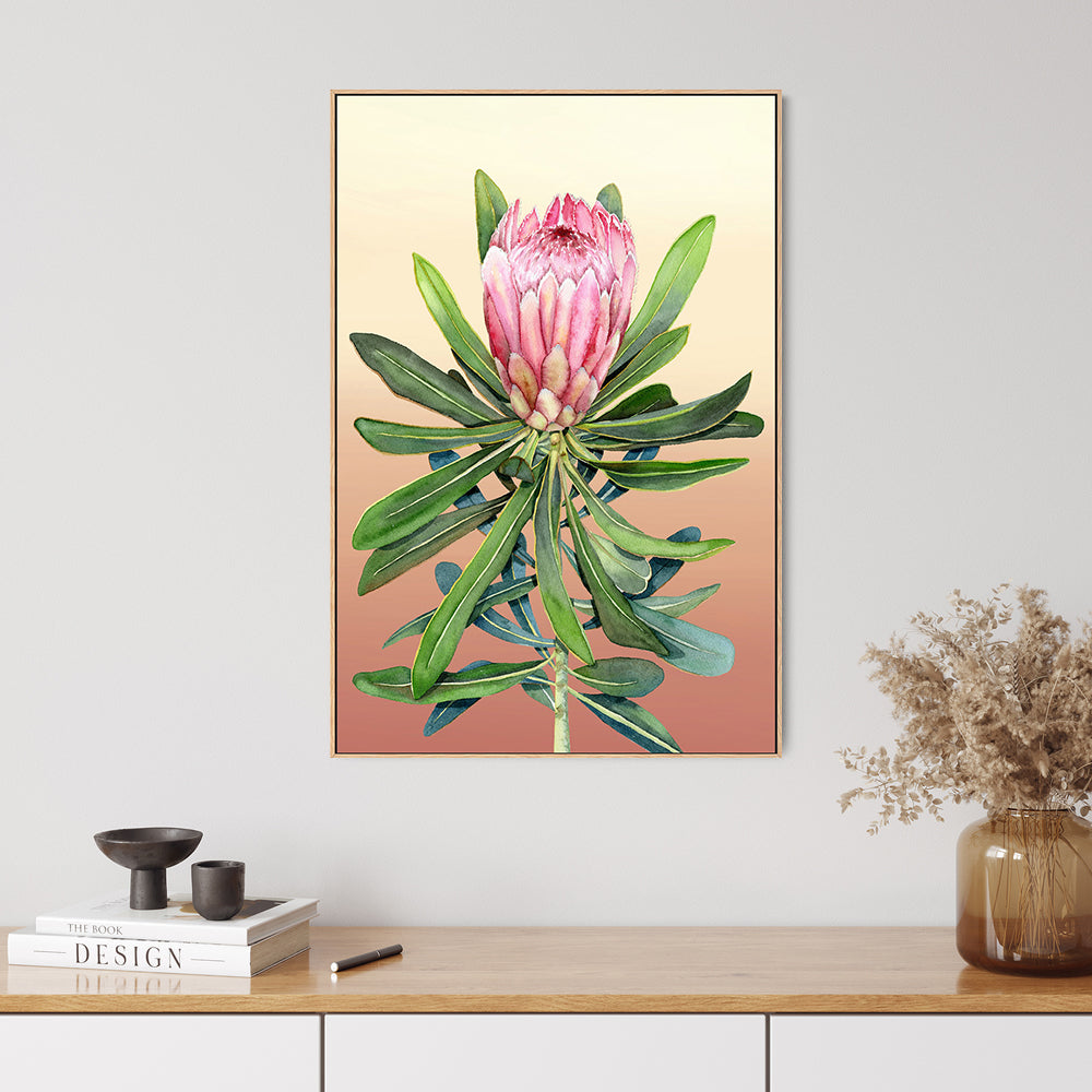 Blush Protea , By Jessie Mitchelson