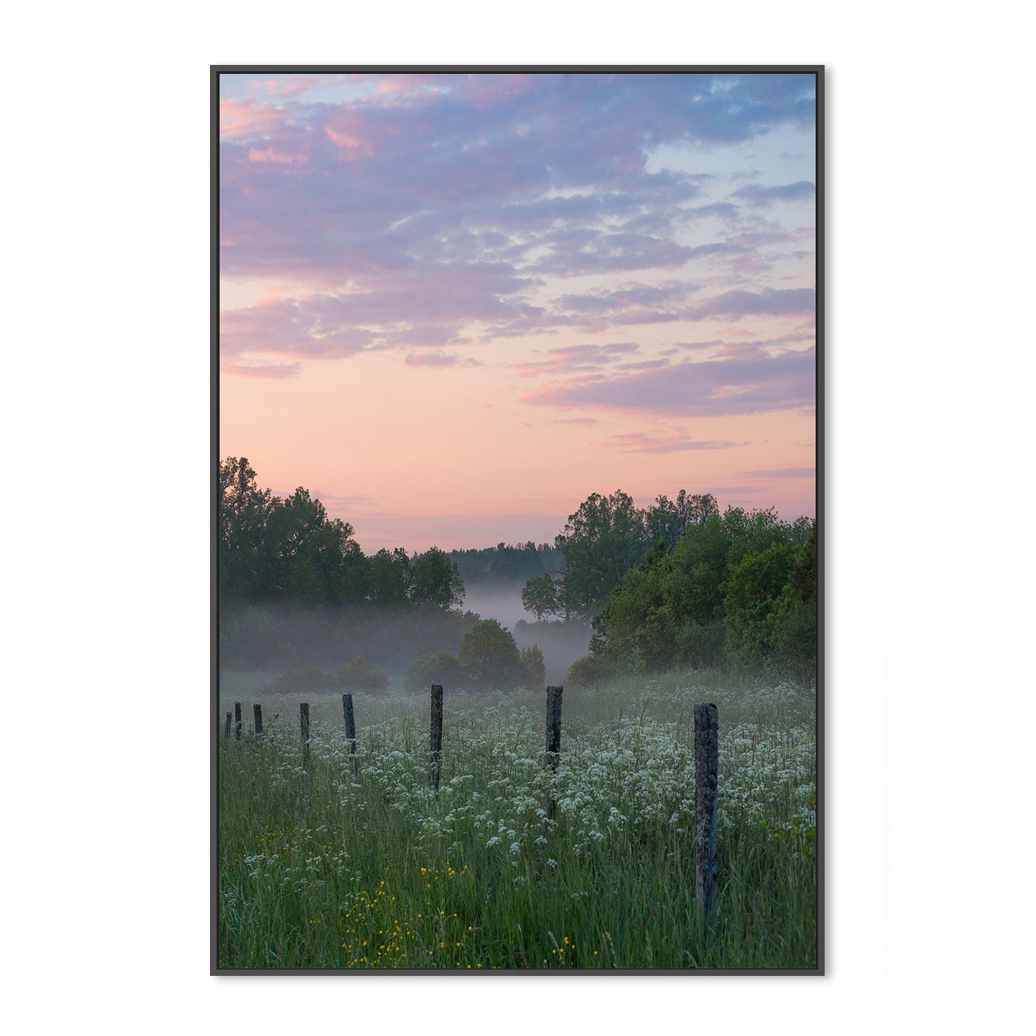 wall-art-print-canvas-poster-framed-Blushing Sunset , By Christian Lindsten-GIOIA-WALL-ART