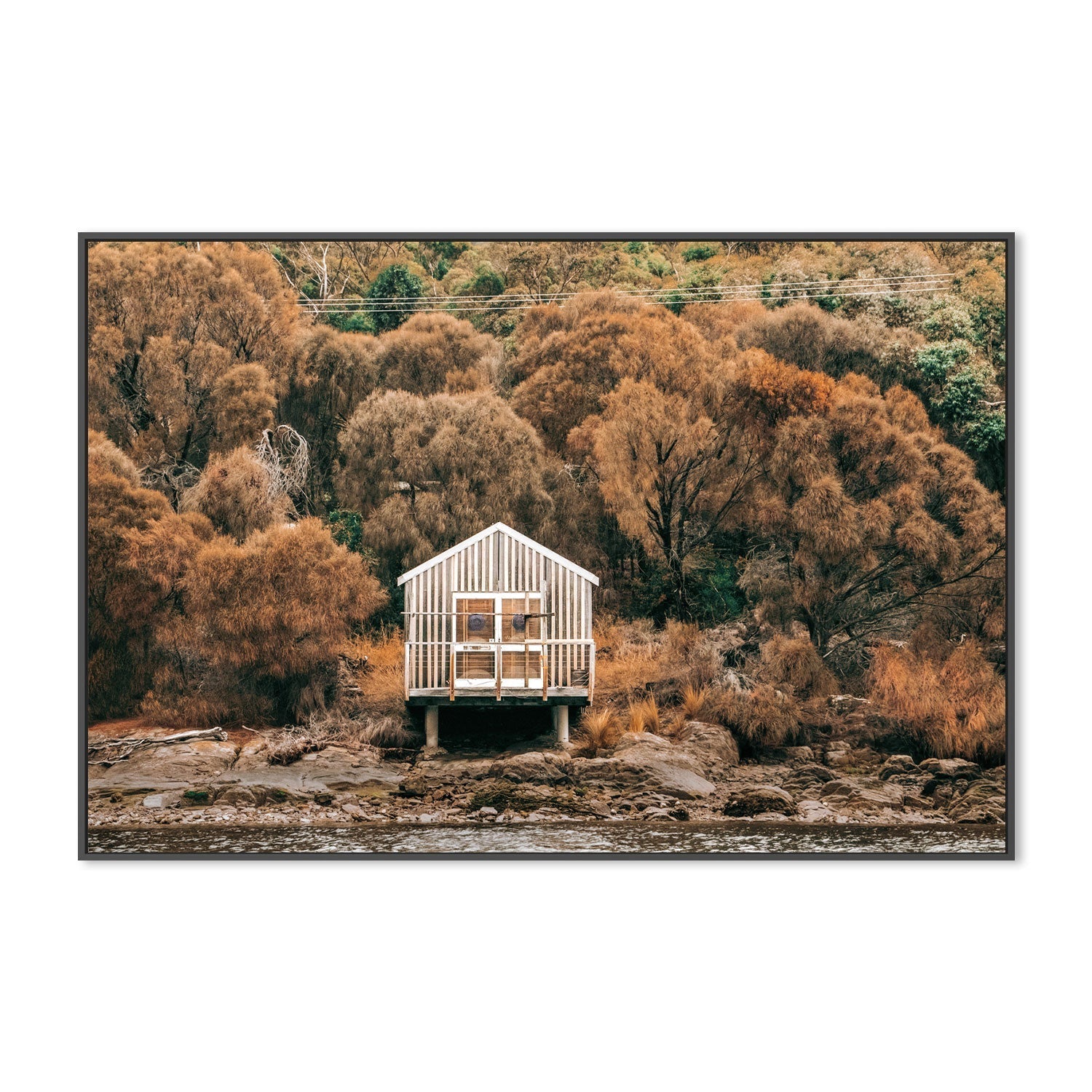 wall-art-print-canvas-poster-framed-Boat Shed, Eaglehawk Bay, Tasmania-GIOIA-WALL-ART