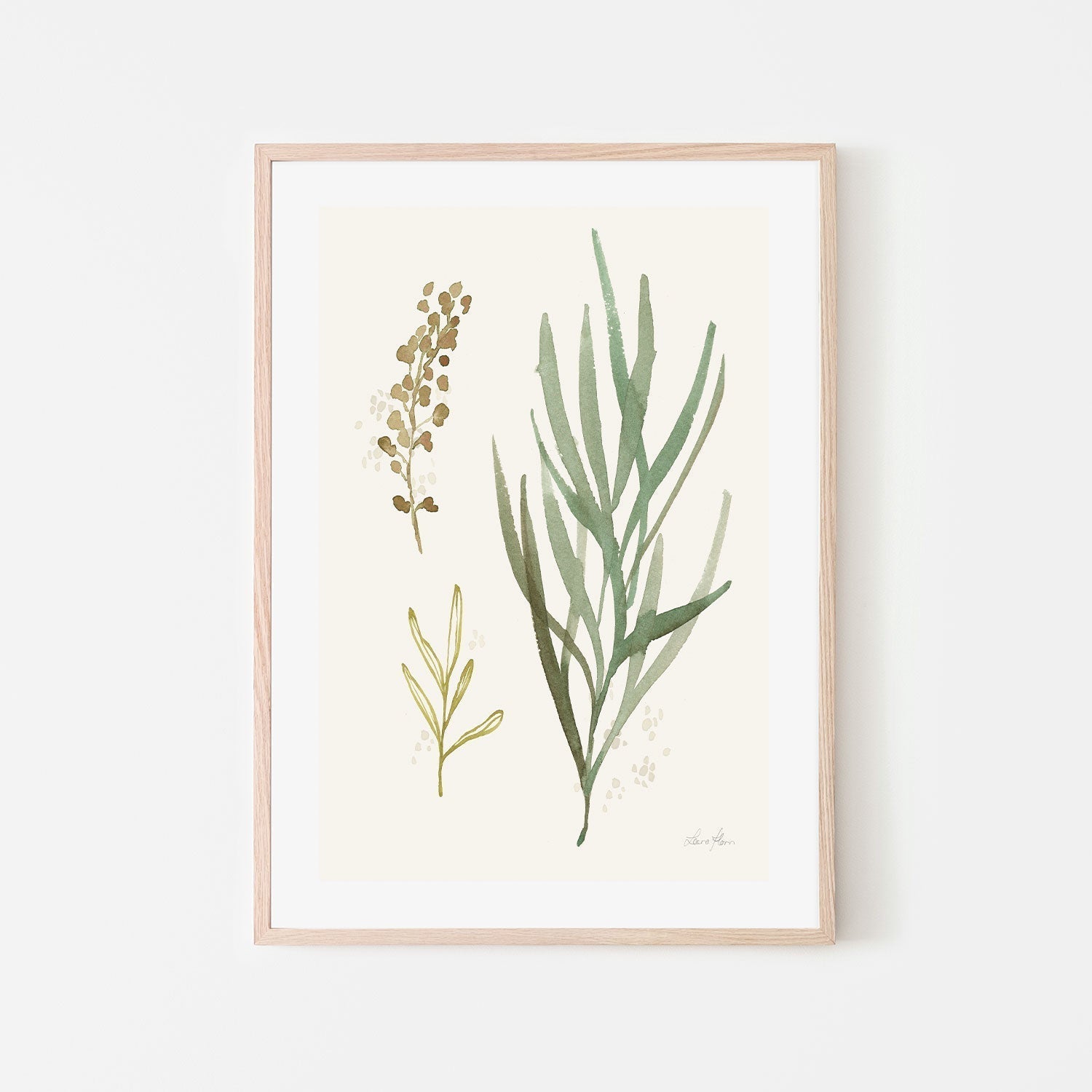 wall-art-print-canvas-poster-framed-Botanical Collage, Style B , By Laura Horn-GIOIA-WALL-ART