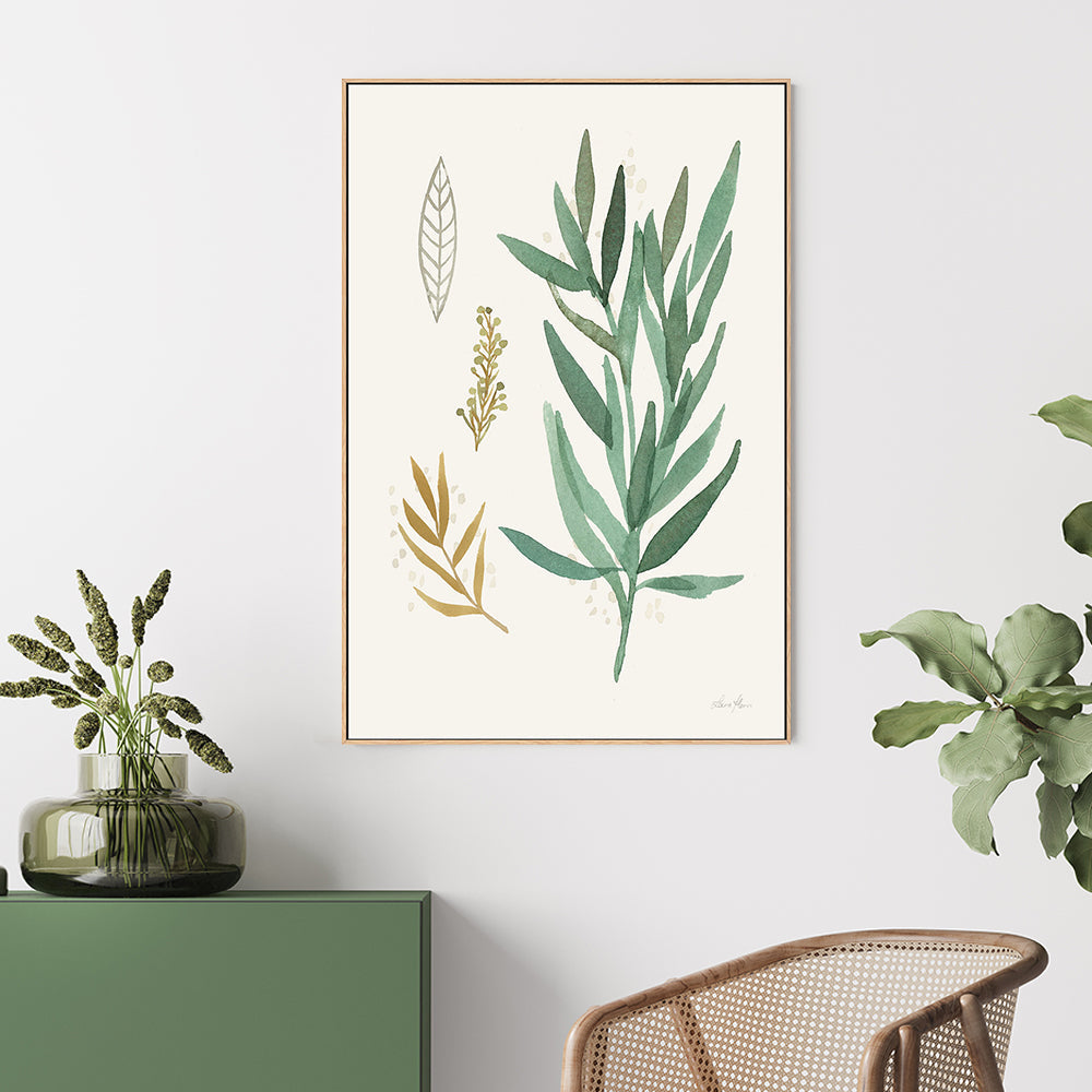 wall-art-print-canvas-poster-framed-Botanical Collage, Style C , By Laura Horn-GIOIA-WALL-ART