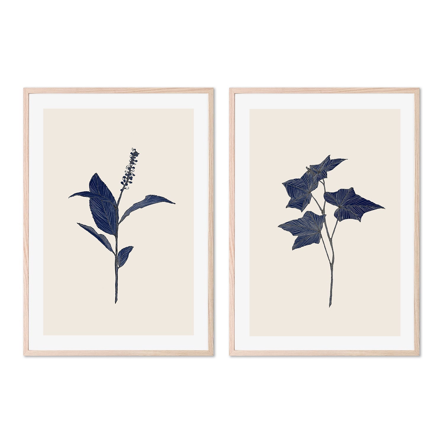 wall-art-print-canvas-poster-framed-Botanical, Set of 2-by-Danushka Abeygoda-Gioia Wall Art