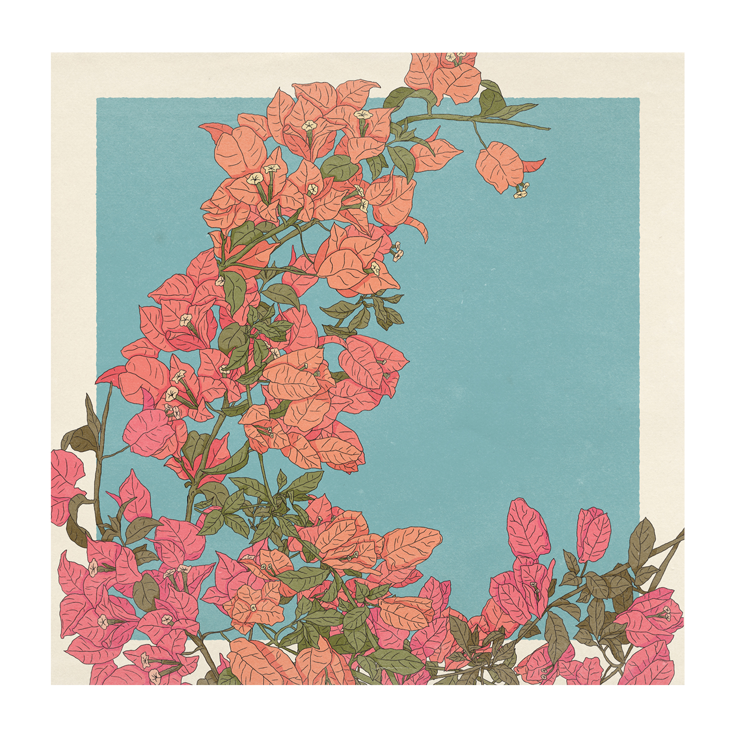 wall-art-print-canvas-poster-framed-Bougainvillea , By Cai & Jo-1