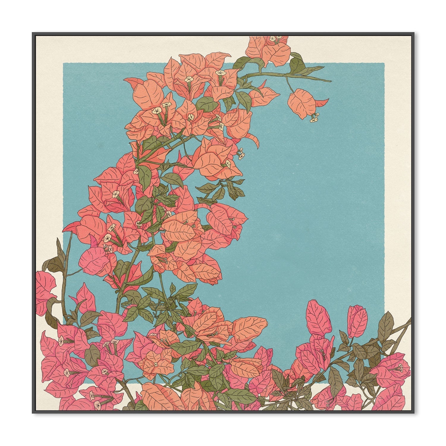 wall-art-print-canvas-poster-framed-Bougainvillea , By Cai & Jo-3