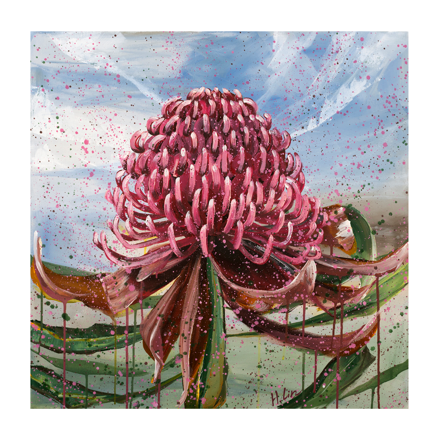 wall-art-print-canvas-poster-framed-Bright Red Waratah , By Hsin Lin-GIOIA-WALL-ART