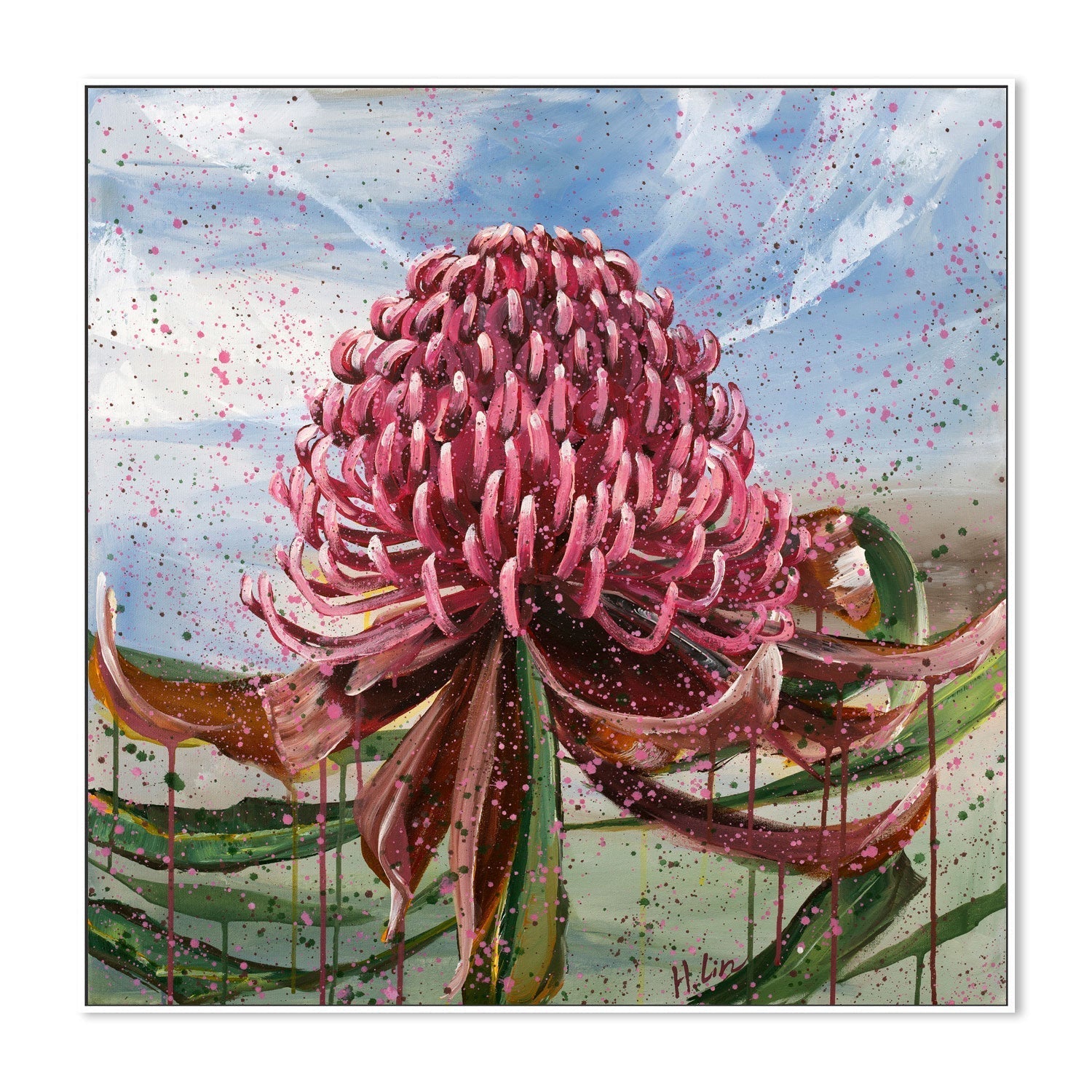 wall-art-print-canvas-poster-framed-Bright Red Waratah , By Hsin Lin-GIOIA-WALL-ART