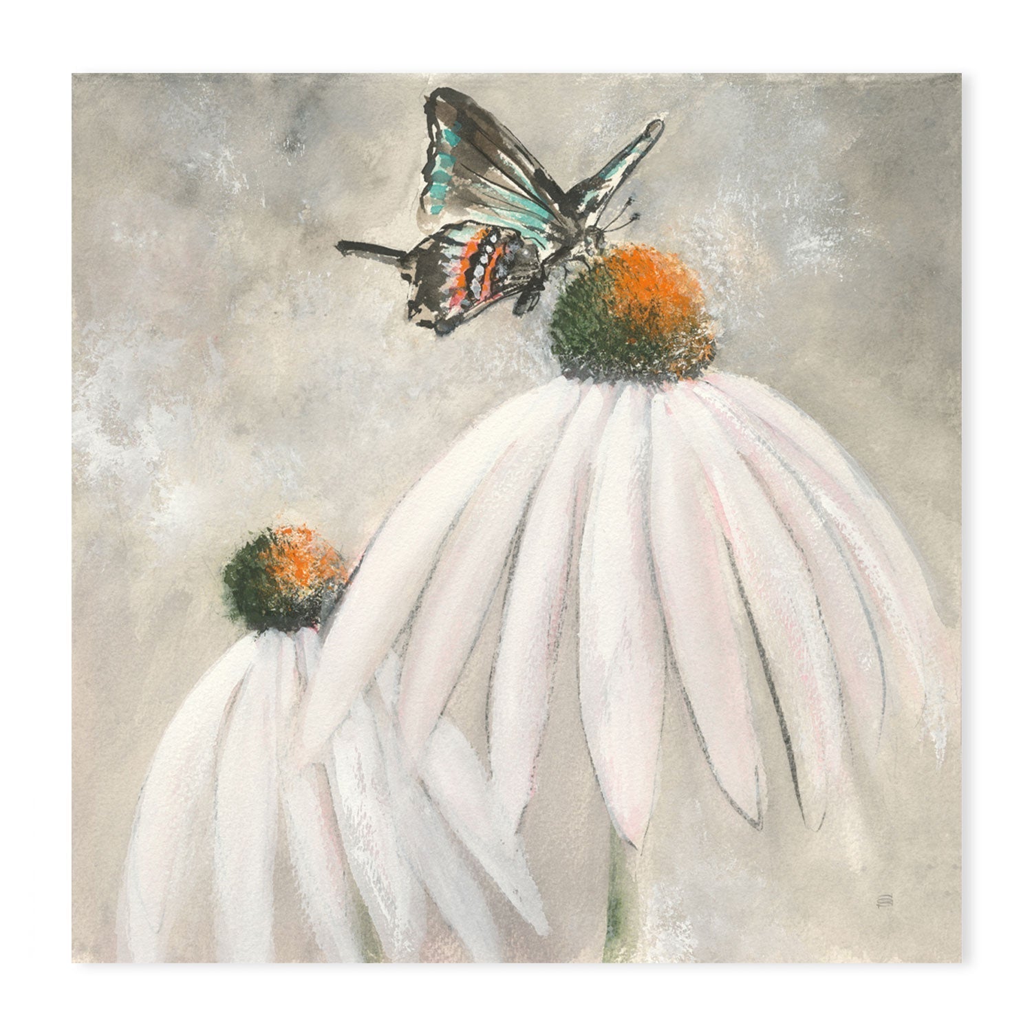 wall-art-print-canvas-poster-framed-Butterflies Are Free , By Chris Paschke-GIOIA-WALL-ART