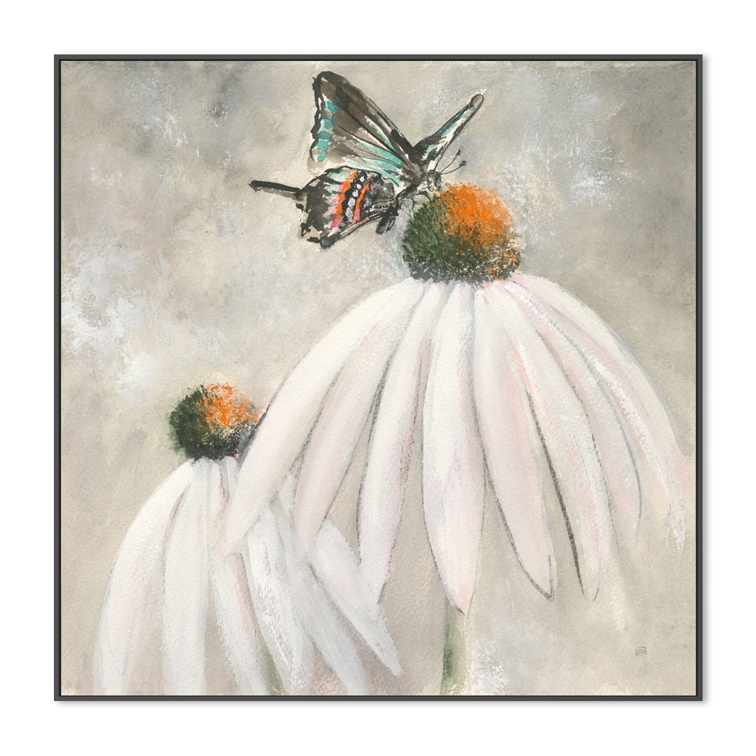 wall-art-print-canvas-poster-framed-Butterflies Are Free , By Chris Paschke-GIOIA-WALL-ART