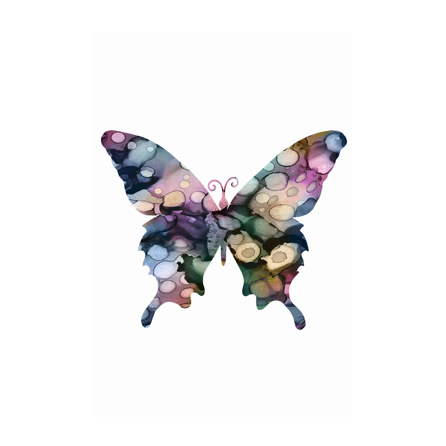 wall-art-print-canvas-poster-framed-Butterfly , By Lisa Nohren-1