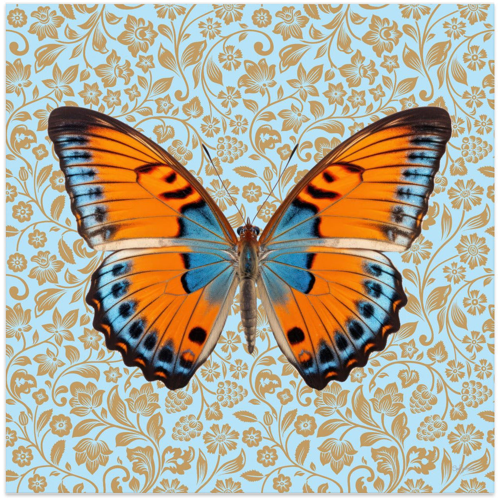 wall-art-print-canvas-poster-framed-Butterfly Orange and Mint , By Sue Skellern-1