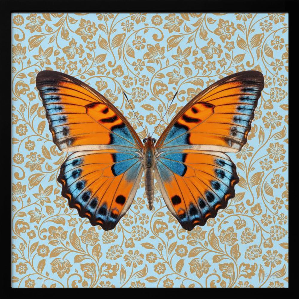 wall-art-print-canvas-poster-framed-Butterfly Orange and Mint , By Sue Skellern-3