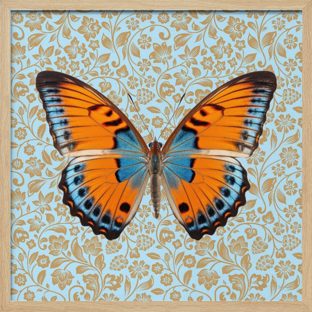 wall-art-print-canvas-poster-framed-Butterfly Orange and Mint , By Sue Skellern-4