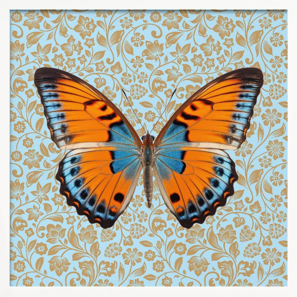 wall-art-print-canvas-poster-framed-Butterfly Orange and Mint , By Sue Skellern-5