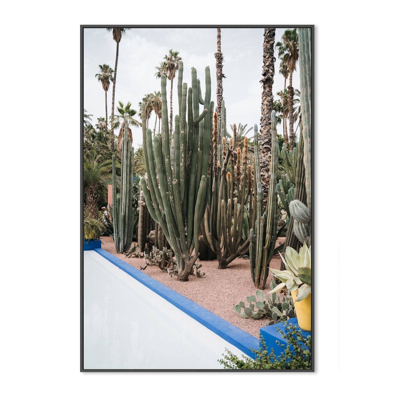 wall-art-print-canvas-poster-framed-Cacti Of Morocco , By Josh Silver-3