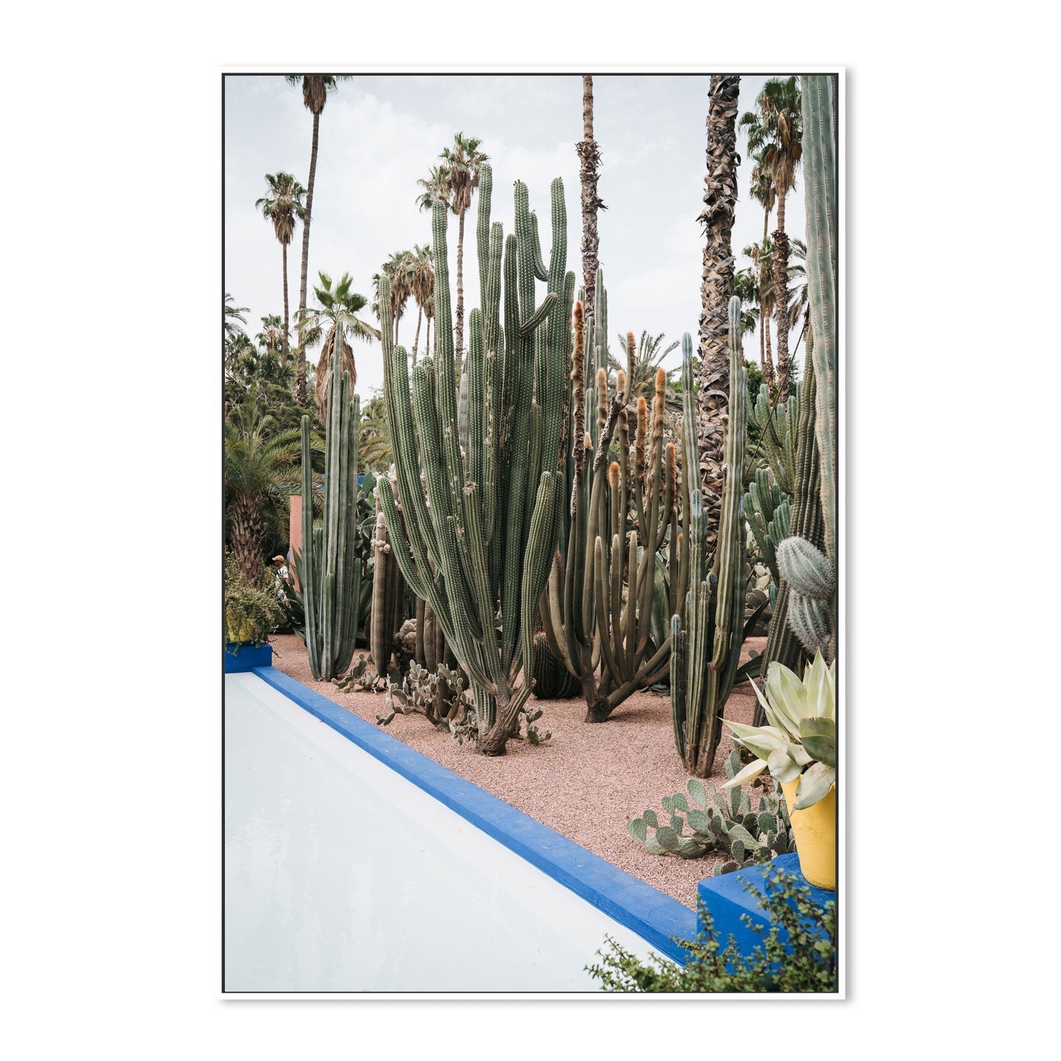 wall-art-print-canvas-poster-framed-Cacti Of Morocco , By Josh Silver-5